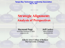 Strategic Alignment: Analysis of Perspectives