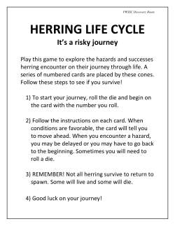 Lesson 2 Herring Game