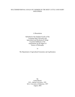 MULTIDIMENSIONAL GOALS OF FARMERS IN THE BEEF CATTLE