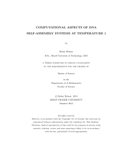 computational aspects of dna self-assembly systems