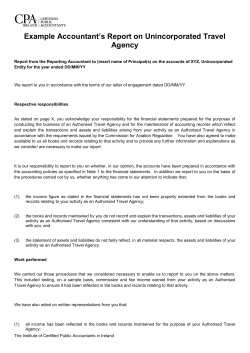 Example Accountant`s Report on Unincorporated Travel Agency