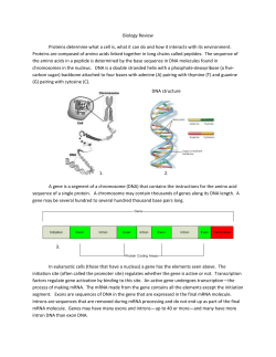 Biology Review