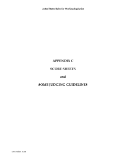 APPENDIX C SCORE SHEETS and SOME JUDGING GUIDELINES