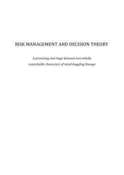 RISK MANAGEMENT AND DECISION THEORY