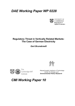 DAE Working Paper WP 0228 CMI Working Paper 10