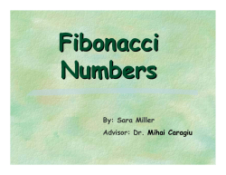 Fibonacci Numbers