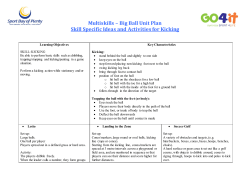 Multiskills &ndash; Big Ball Unit Plan Skill Specific Ideas and