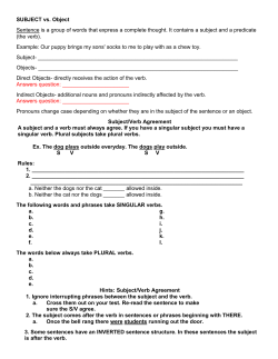 Sub Verb agreement Pro WS