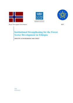 Institutional Strengthening for the Forest Sector