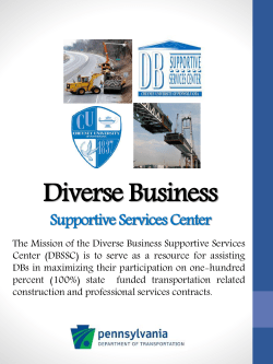 Diverse Business Supportive Services Center Program Cheyney