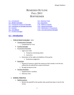 Morgan Stephens Remedies Outline Fall 2011 Hoffheimer &sect; 1