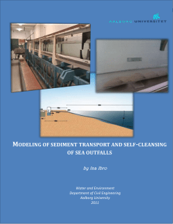 Modeling of sediment transport and self-cleansing of sea