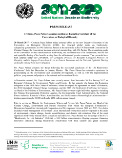 Cristiana Paşca Palmer today assumed office as the new Executive