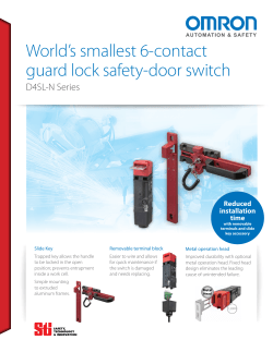 Omron D4SL-N Series Safety Door Switch Flyer