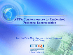 DPA countermeasure by randomized Frobenius decomposition
