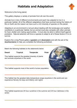 Habitats and Adaptation Gallery Worksheets