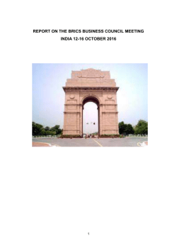 report-on-the-brics-business-council-meeting-october-2016