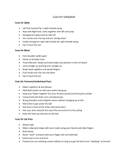 Cues for Volleyball