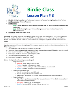 Birdie Lesson 3 - The First Tee of the Triad