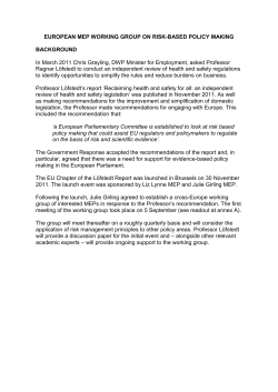 EUROPEAN MEP WORKING GROUP ON RISK