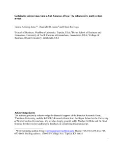 Sustainable entrepreneurship in Sub