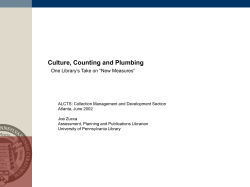 Culture, Counting and Plumbing: One Library`s Take on "New