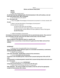 Mitosis/Meiosis Study Guide KEY