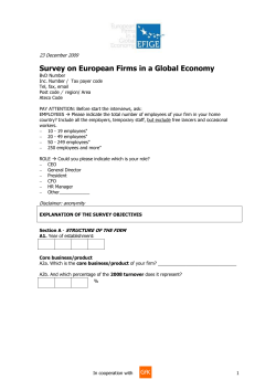 Survey on European Firms in a Global Economy