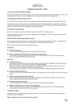 Company Accounts &ndash; Part I