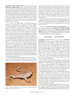 (Brazilian Dumpy Frog). DEFENSIVE BEHAVIOR. Stereocyclops