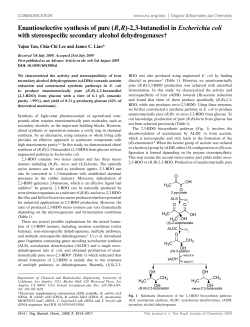 Enantioselective synthesis of pure (R,R)-2,3-butanediol - ISI