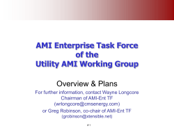 AMI Enterprise