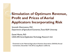 Simulation of Optimum Revenue, Profit and Prices of Aerial