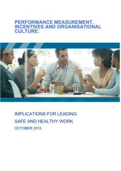 4. Performance Measurement Incentives and Organisational Culture