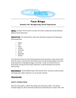 Face Bingo Face Bingo