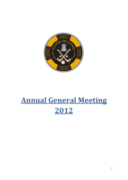 Annual General Meeting 2012