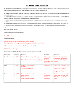 EOC Review Packet Answer Key