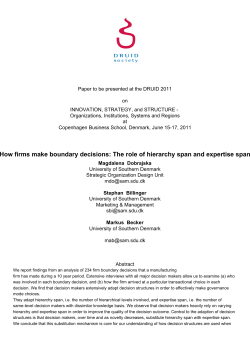 How firms make boundary decisions: The role of hierarchy