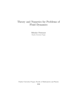 Theory and Numerics for Problems of Fluid Dynamics