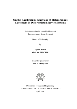 On the Equilibrium Behaviour of Heterogenous Customers in