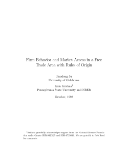 Firm Behavior and Market Access in a Free Trade Area with Rules of