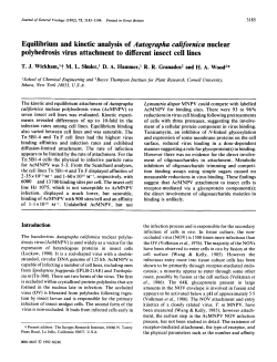Equilibrium and kinetic analysis of Autographa californica nuclear