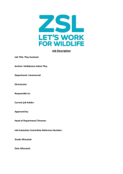 Play Assistant Job Description 2015