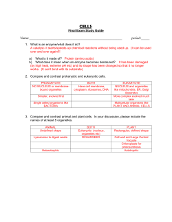 cells sg key - Solon City Schools