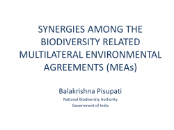 SYNERGIES AMONG THE BIODIVERSITY RELATED
