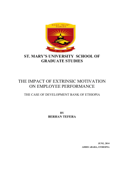 the impact of extrinsic motivation on employee performance