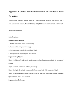 Appendix: A Critical Role for Extracellular DNA in Dental Plaque