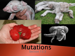 Notes: Mutations