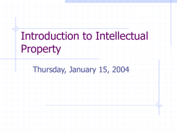 Powerpoint on Economics of IP (by Prof. Larry Solum)