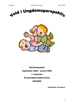 Vold i Ungdomsperspektiv